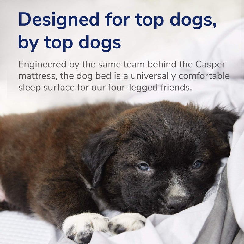 Casper Dog Bed, Plush Memory Foam, Small, Blue - Image 5